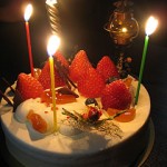 ヤナギタダシのクリスマスケーキ